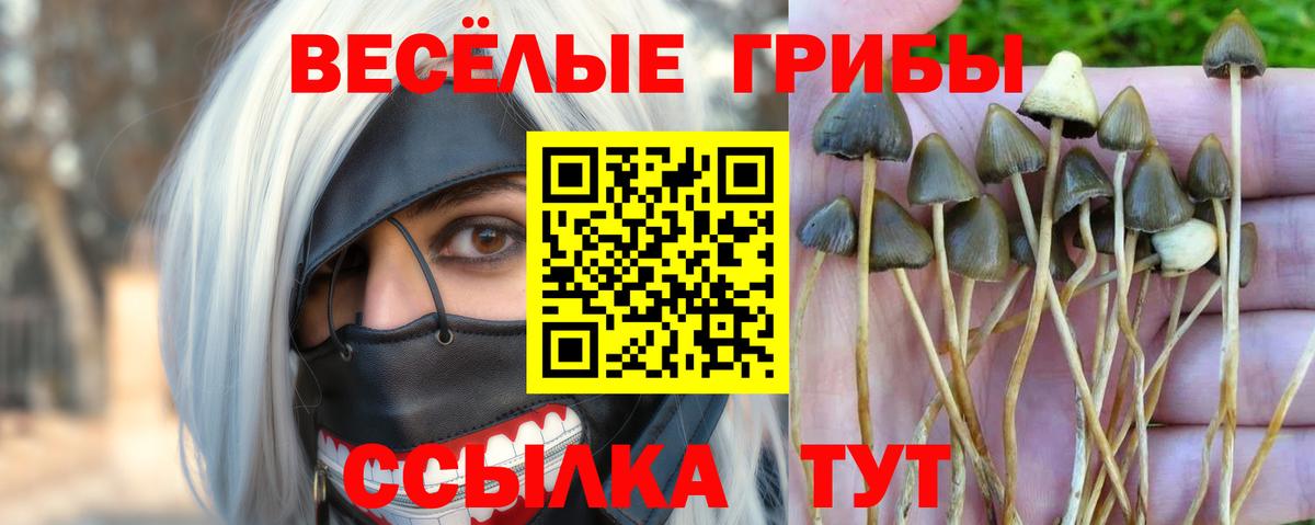 Галлюциногенные грибы MAGIC MUSHROOMS Алушта